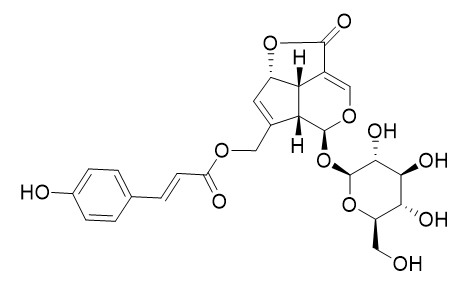 10-O-Coumaroyl-10-O-deacetylasperuloside