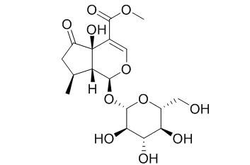 Hastatoside