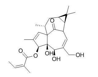 Ingenol 3-Angelate