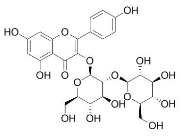 Kaempferol 3-O-beta-sophoroside