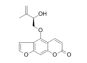 Pangelin